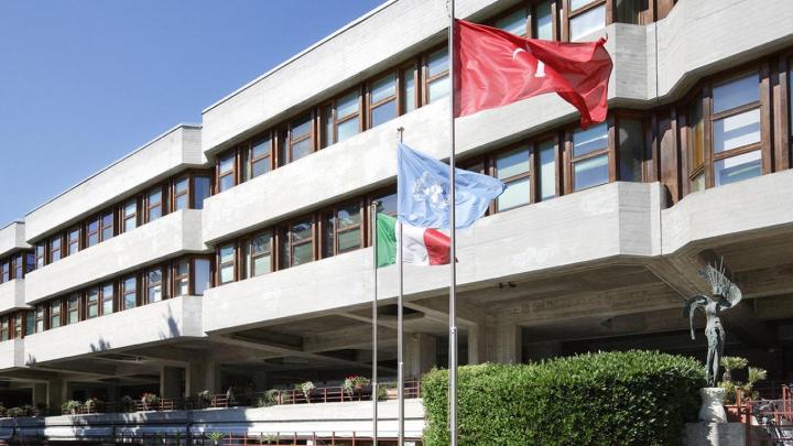 ICTP flags