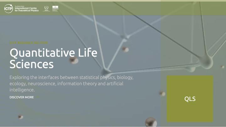 QLS postdoc